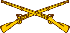 Infantry insignia
