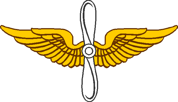 Aviation insignia