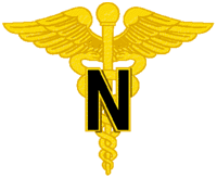 nursing logo