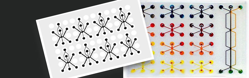 VIIBRE's Microfluidic Multi-Well Plates