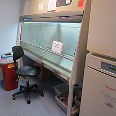 Biosafety Cabinet 2