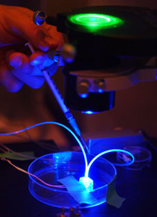 Portable Infectious Disease Monitor