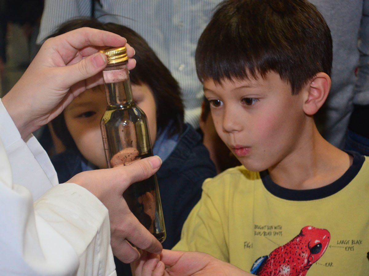 friends and family day