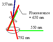 Fluorescence upconversion of phenoxazone-9