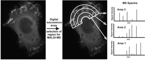Laser patterning scheme