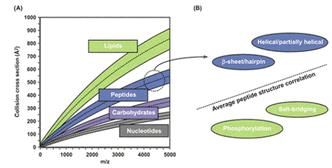 Theoretical depiction of conformation space fo biomolecules