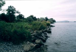 Kennewick Man site on Columbia River, WA