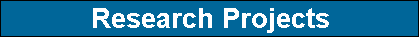 Research Projects
