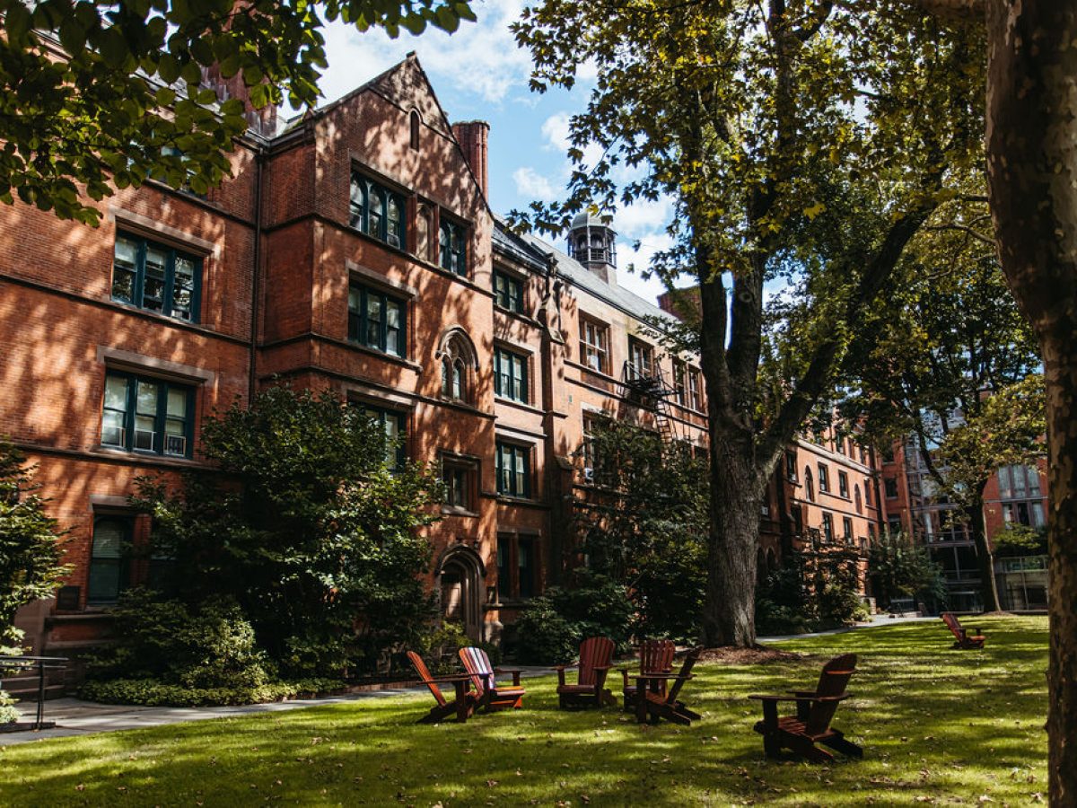 Vanderbilt Chairs in NYC