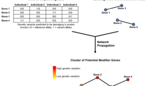 Network Propagation to Enhance the Identification of Genetic Modifiers of Rett Syndrome (DSI-SRP)