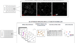 Utilizing Imaging Mass Cytometry to Identify Glioblastoma Cell Clusters (DSI-SRP)