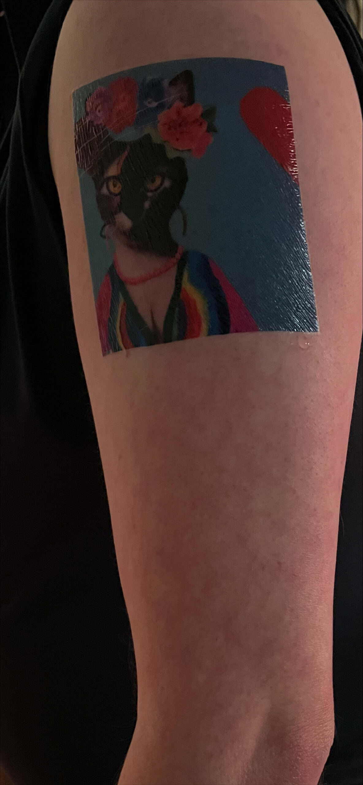 fridacat Vanderbilt University