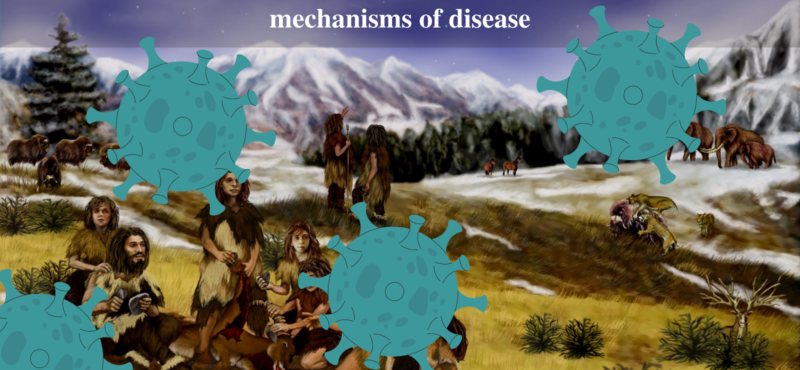Medical researchers develop new methodology for molecular mechanisms of disease