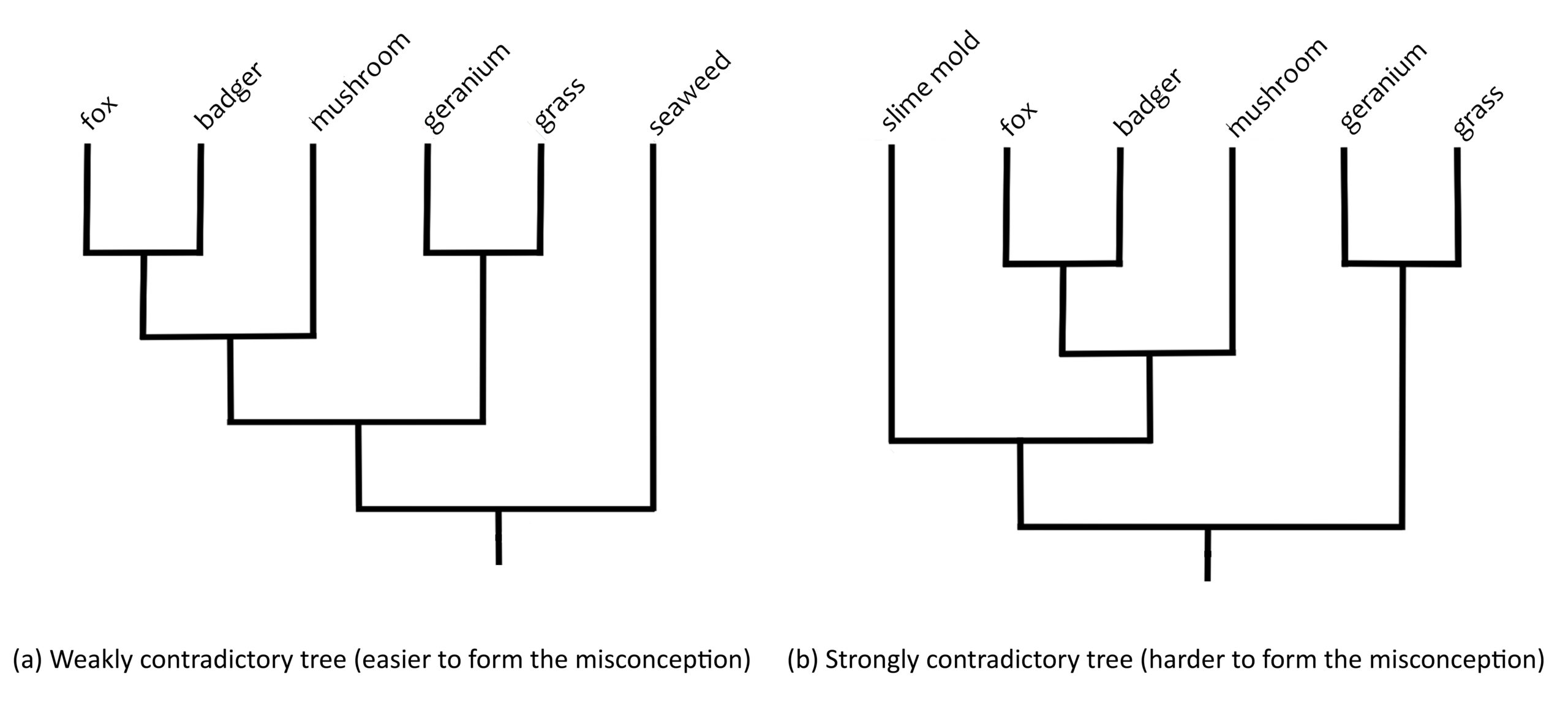 Cladogram showing two different ways to show the same relationships