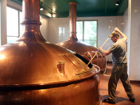 Science and History of Brewing