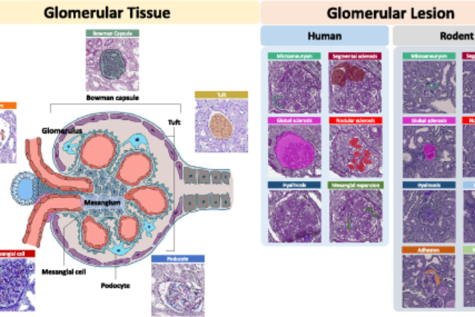 AI Day will take place on Friday, April 24th in Featheringill-Jacobs Hall.