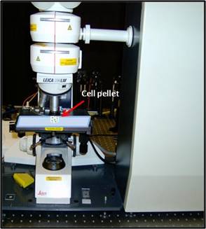 Raman Micro-spectroscopy