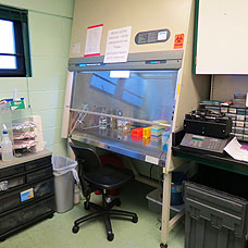 Biosafety Cabinet 1